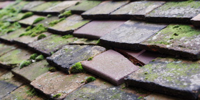 Buckworth roof repair costs